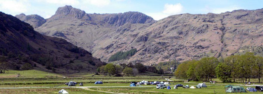 Bays Brown Farm Campsite