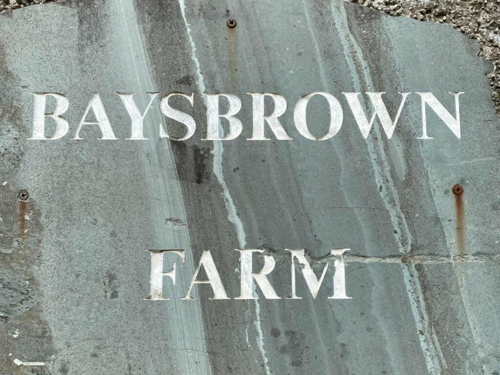 baysbrownfarmcampsite3